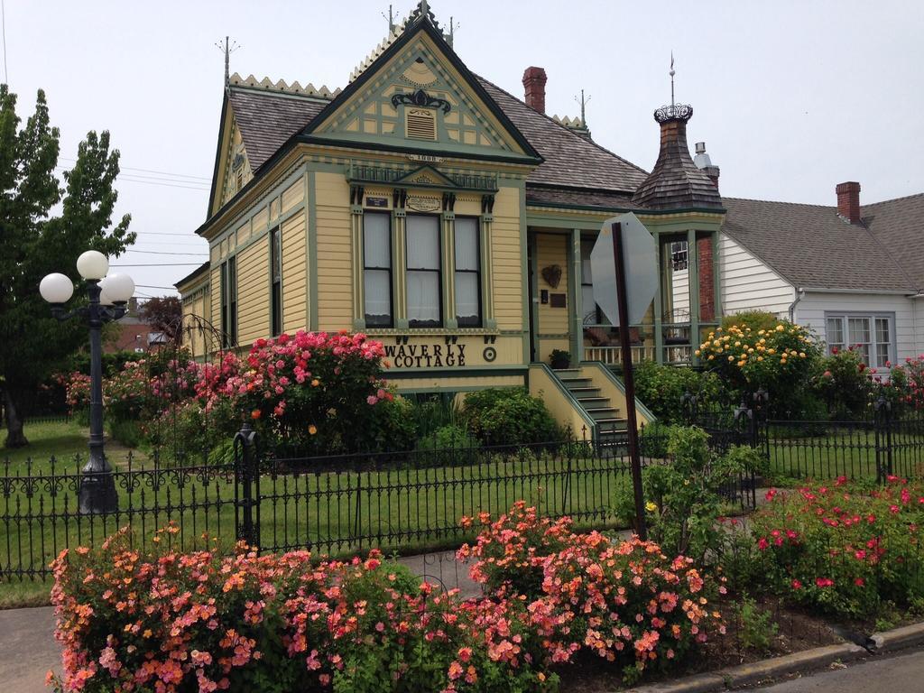 Waverly Cottage Medford Kültér fotó