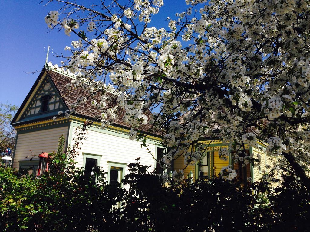 Waverly Cottage Medford Kültér fotó